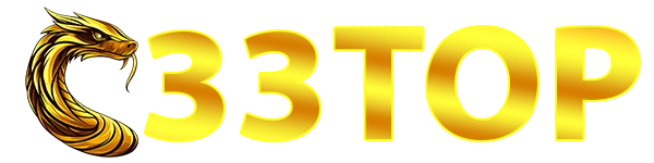 33TOP LOGO